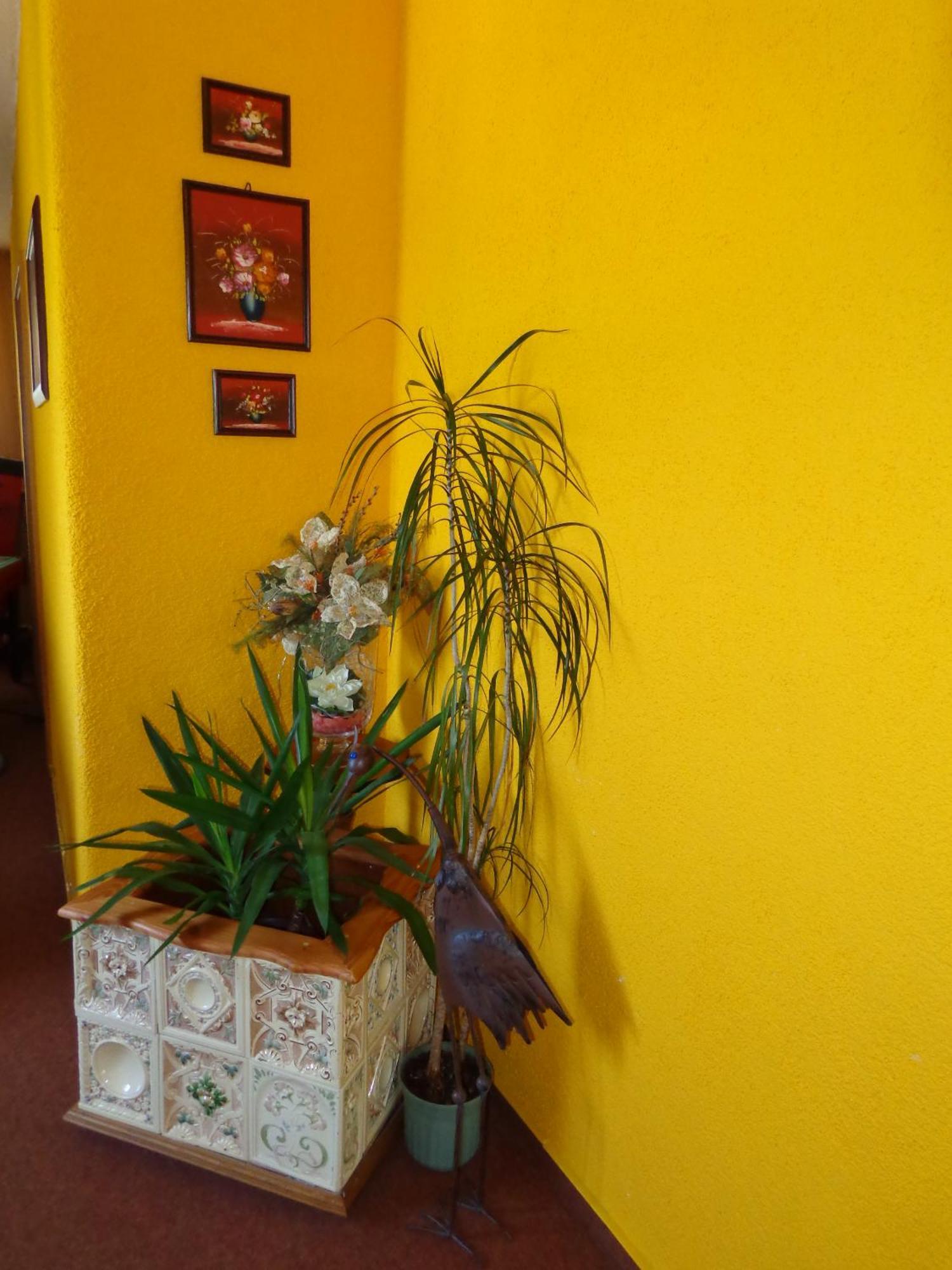 Pension Sonnenhuegel Markersdorf Экстерьер фото