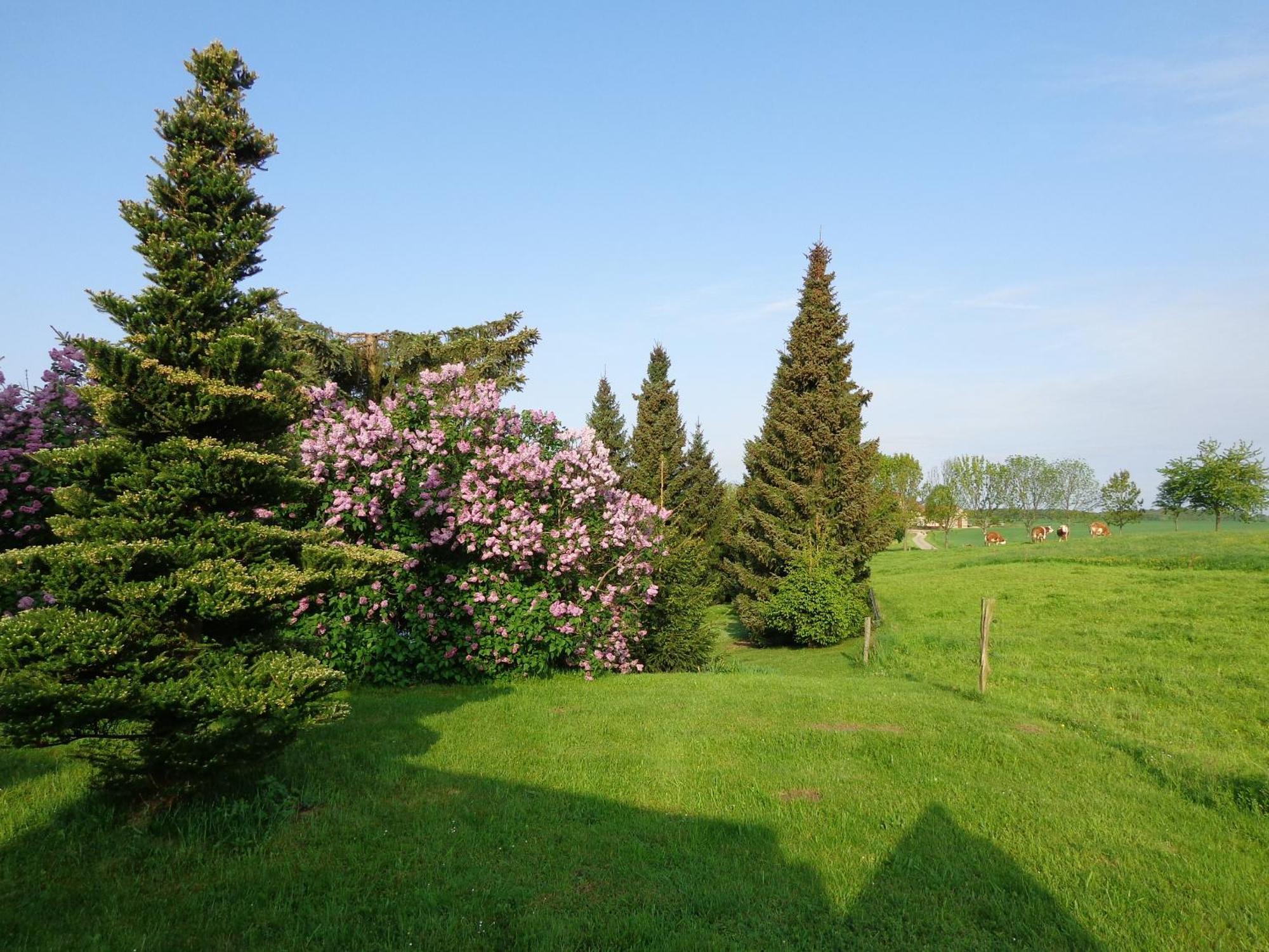 Pension Sonnenhuegel Markersdorf Экстерьер фото